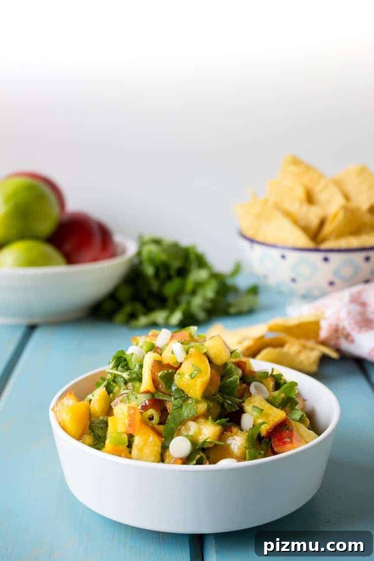 Irresistible Game Day Appetizer Recipes 4 Fresh Peach Salsa made with fresh peaches, onions, and cilantro.