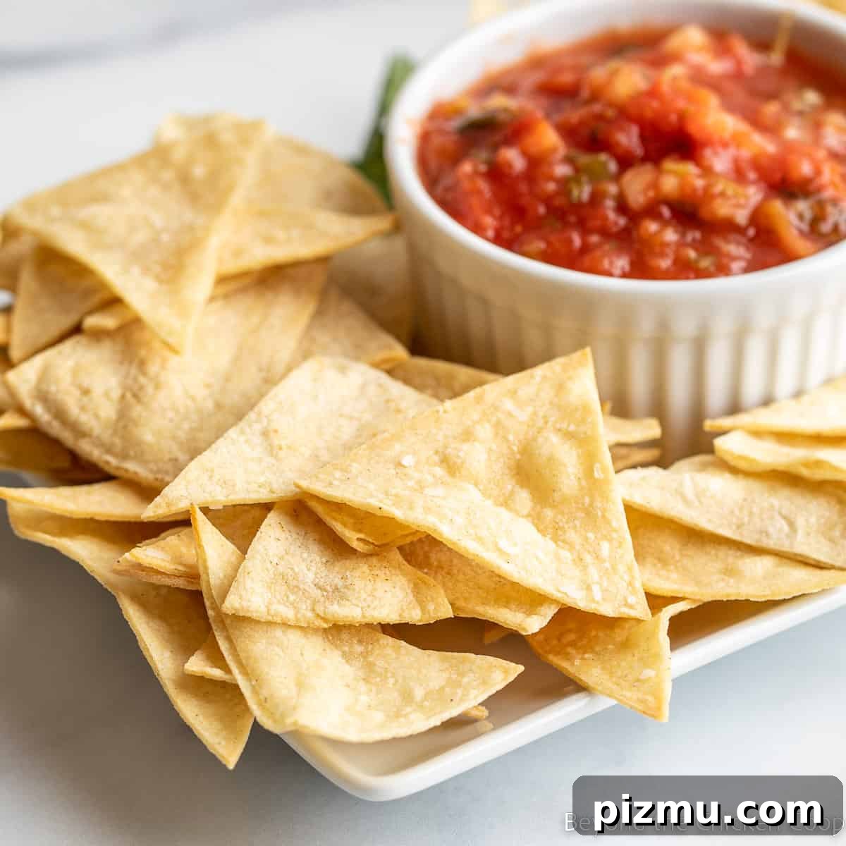 Irresistible Game Day Appetizer Recipes 8 Tortilla chips and a bowl of salsa on a platter.
