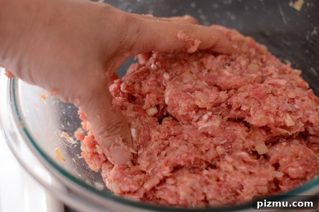 Classic Japanese Hambagu (Hamburger Steak) Recipe 4 Mixture of ground beef and pork are combined to make Japanese hamburger steak.