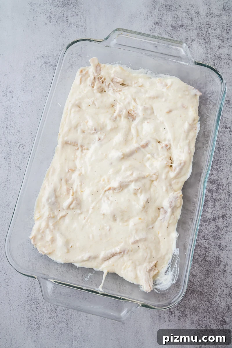 Creamy Chicken Alfredo Lasagna with Ricotta Recipe 12 Half of the alfredo sauce is added to the bottom of the baking dish.