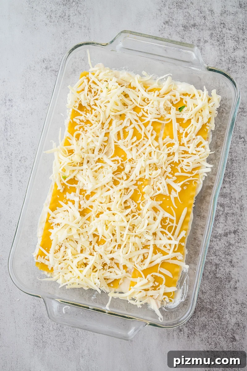 Creamy Chicken Alfredo Lasagna with Ricotta Recipe 14 Mozzarella cheese is added to the top of the alfredo sauce.