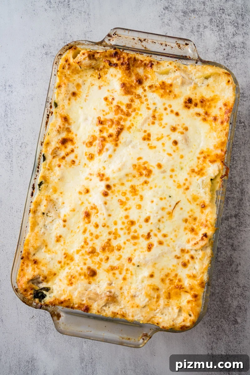 Creamy Chicken Alfredo Lasagna with Ricotta Recipe 15 Finished dish of lasagna.