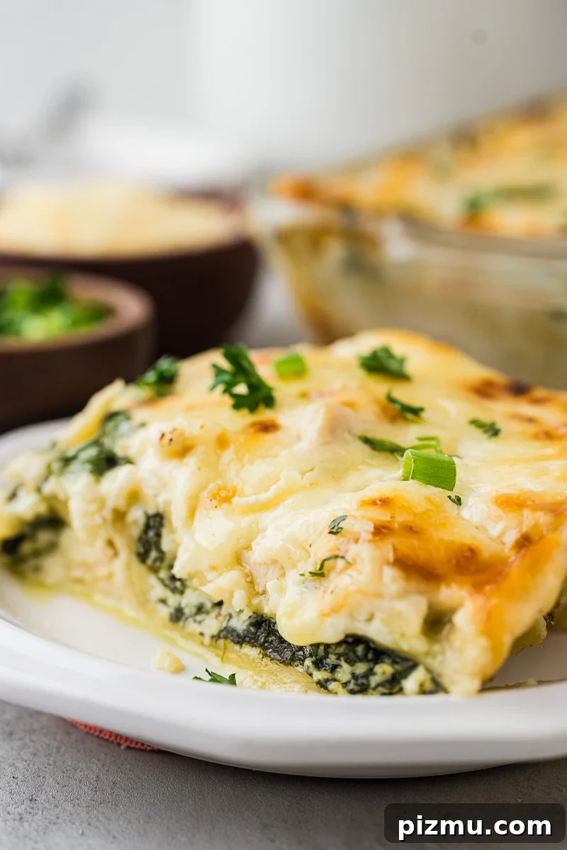 Creamy Chicken Alfredo Lasagna with Ricotta Recipe 3 Chicken alfredo lasagna served on a plate.