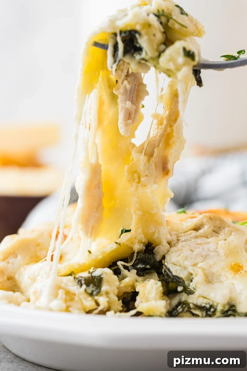 Creamy Chicken Alfredo Lasagna with Ricotta Recipe 16 Forkful of chicken alfredo lasagna.