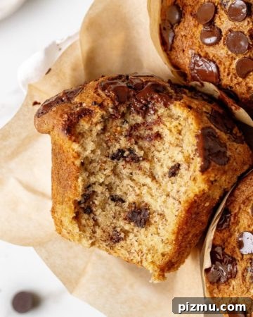 Banana Chocolate Chip Muffins