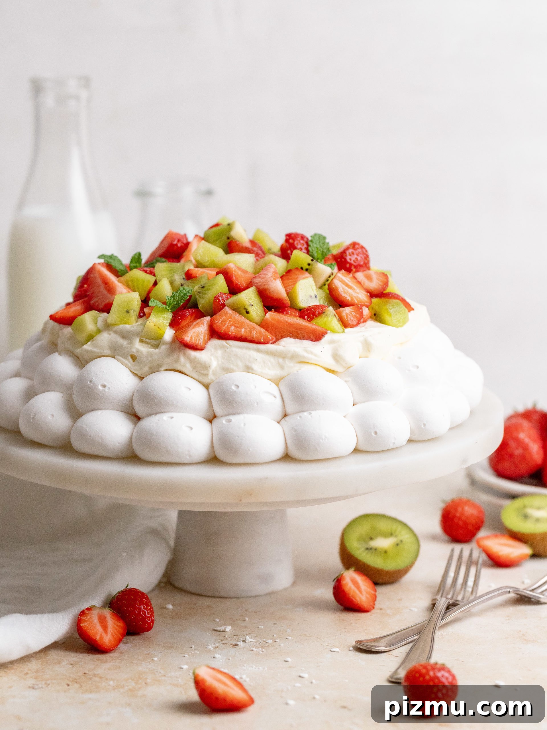 Pavlova Pavlova closeup