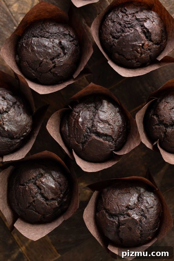 Chocolate Pumpkin Muffins