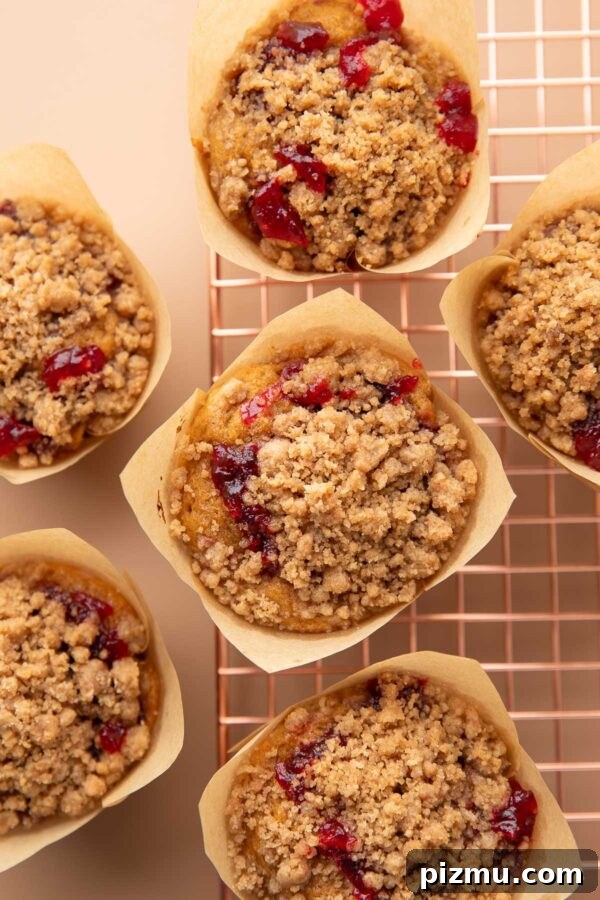 Pumpkin Cranberry Sauce Muffins with Cinnamon Coffee Cake Streusel
