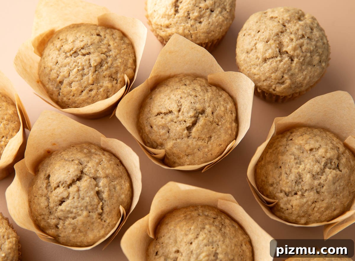 Moist Banana Oatmeal Muffins with Cinnamon 5 banana oatmeal muffins in assorted parchment muffin liners