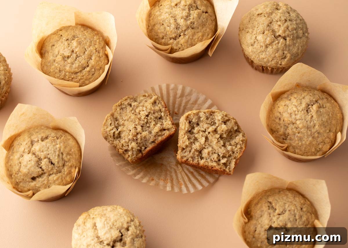 Moist Banana Oatmeal Muffins with Cinnamon 6 fluffy bakery style muffins