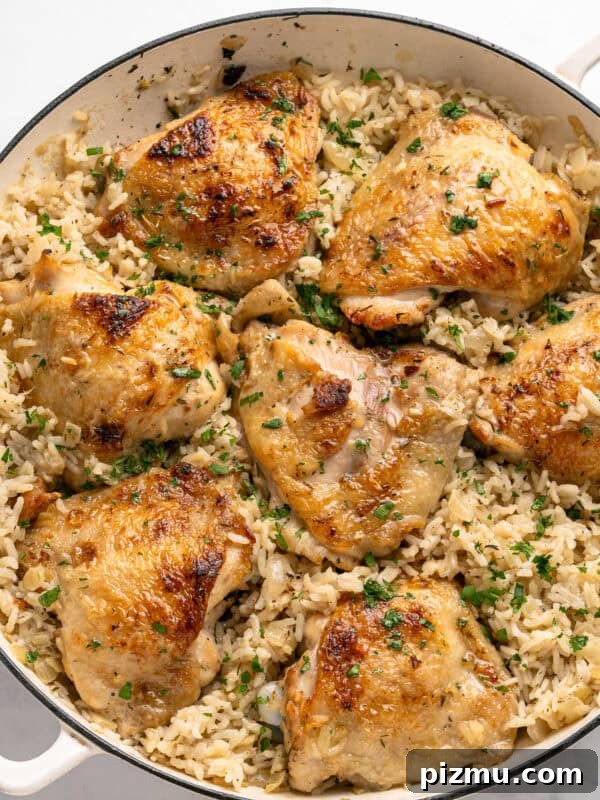 Juicy Grilled Lemon Chicken with Garlic and Herbs 4 One-pan chicken thighs over rice, garnished with parsley.