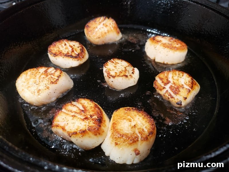 Seared Scallops with Garlic Butter Spinach 5 8 seared scallops in cast iron skillet.
