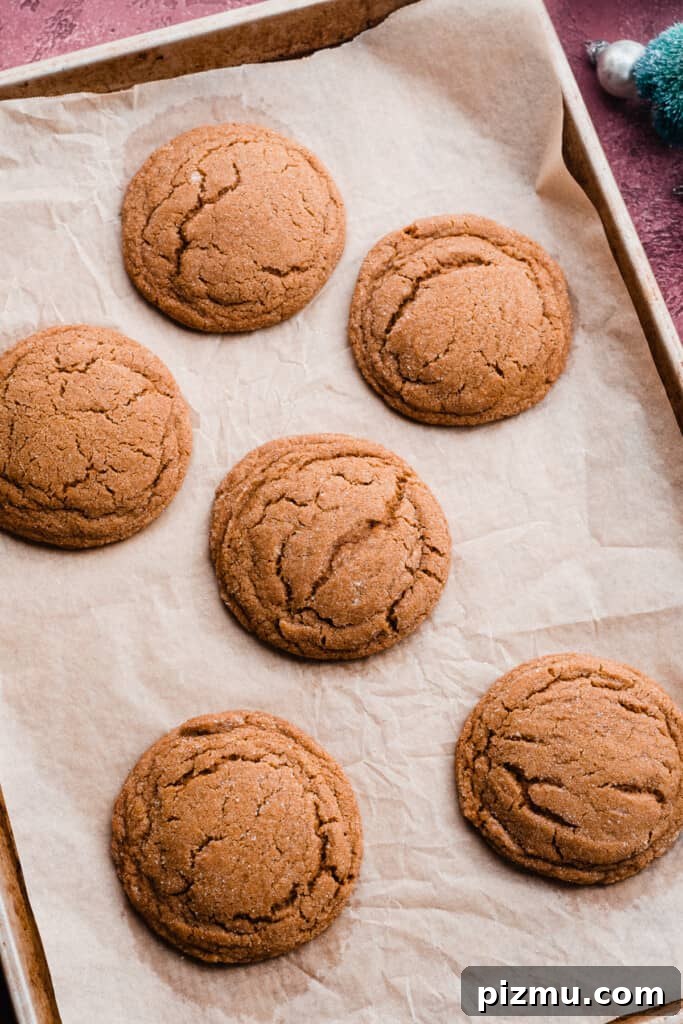 Baked cookies on a cookie sheet.