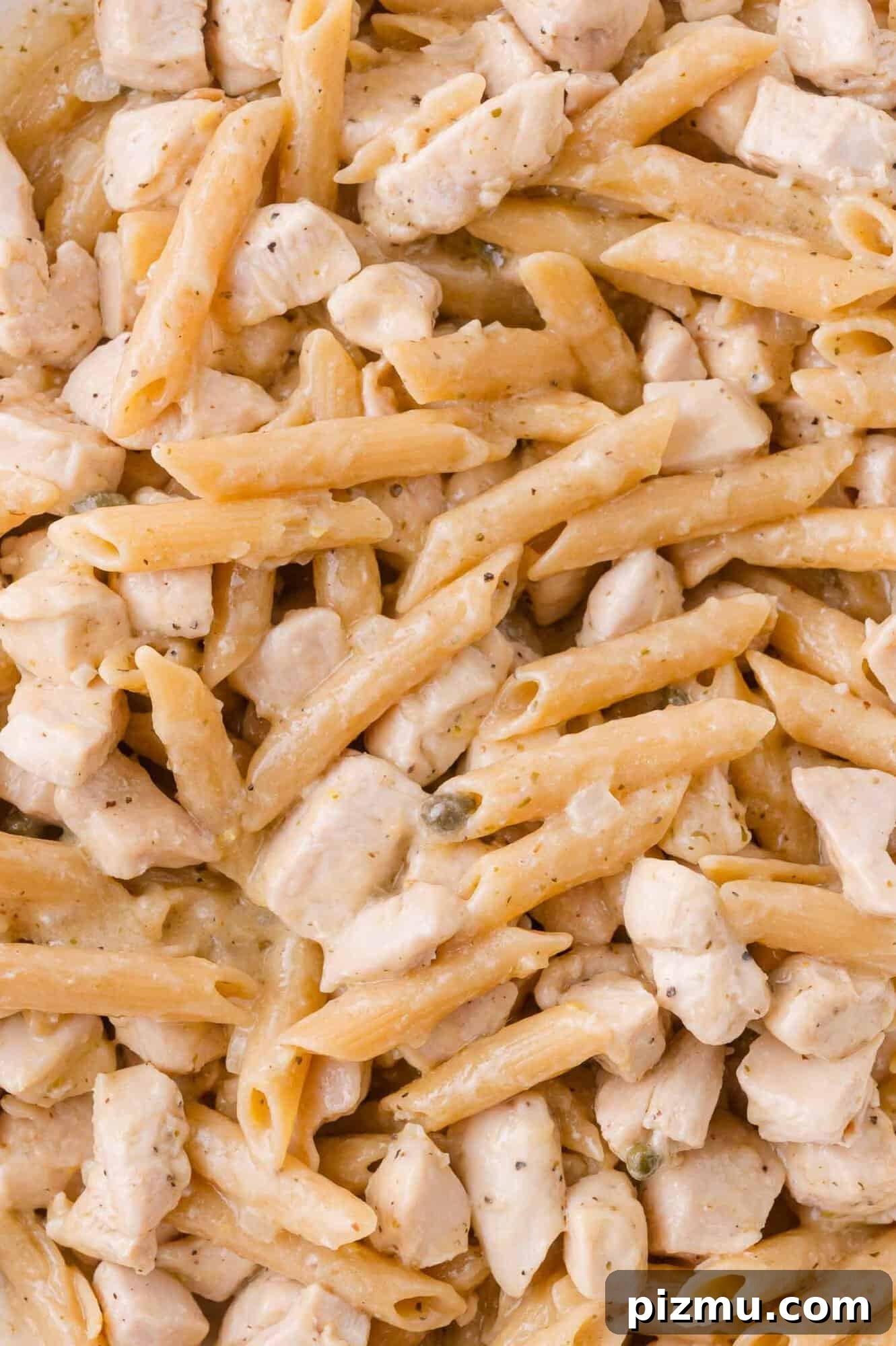 One-Pan Chicken Piccata Pasta with Lemon and Capers 11 Close-up of cooked penne pasta mixed with diced chicken in a creamy sauce.