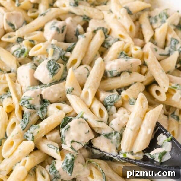 One-Pan Chicken Piccata Pasta with Lemon and Capers 15 Close-up of creamy penne pasta mixed with pieces of chicken and spinach, being served with a black spoon.