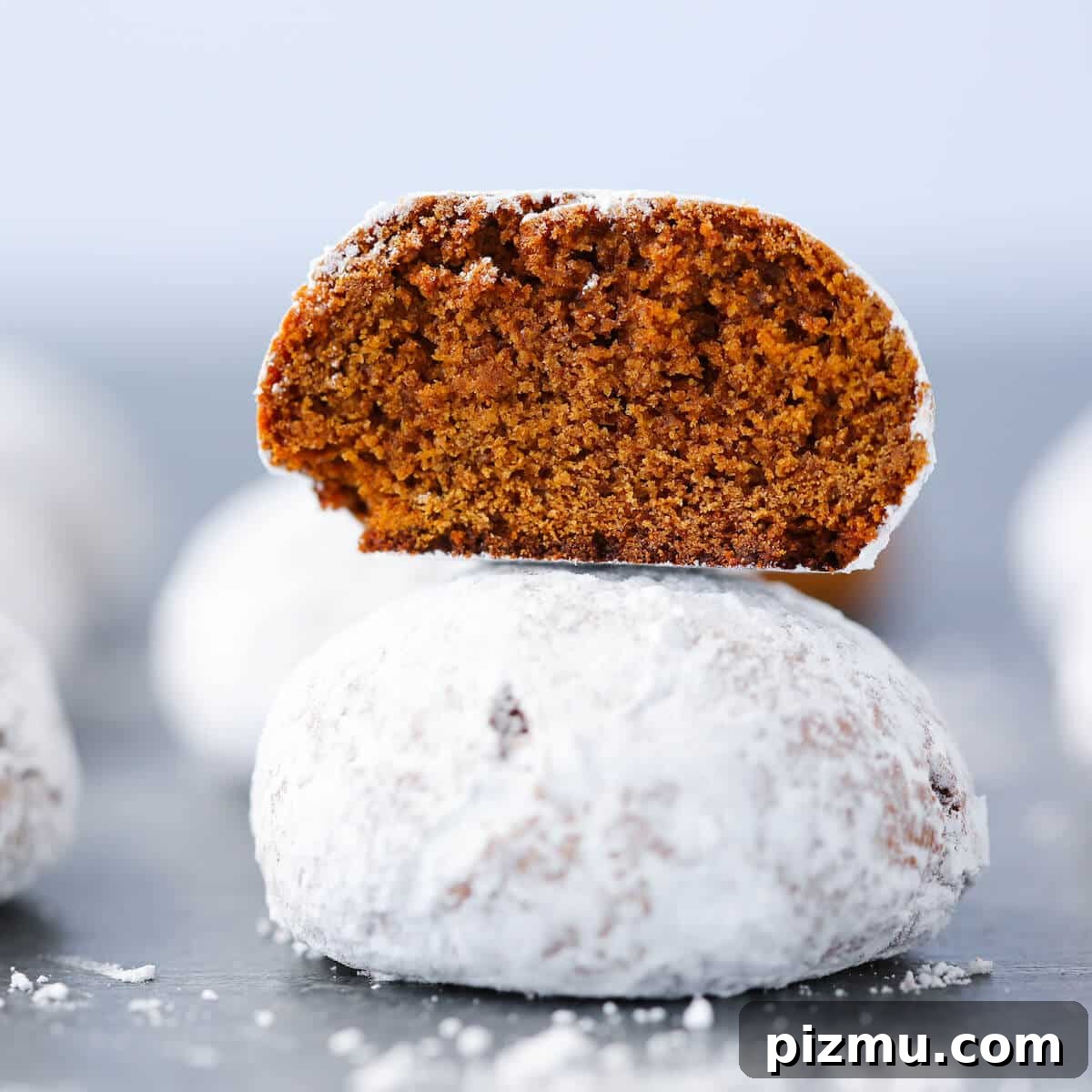 20 Classic Christmas Cookie Recipes to Bake This Season 20 Pfeffernusse Cookies interior detail