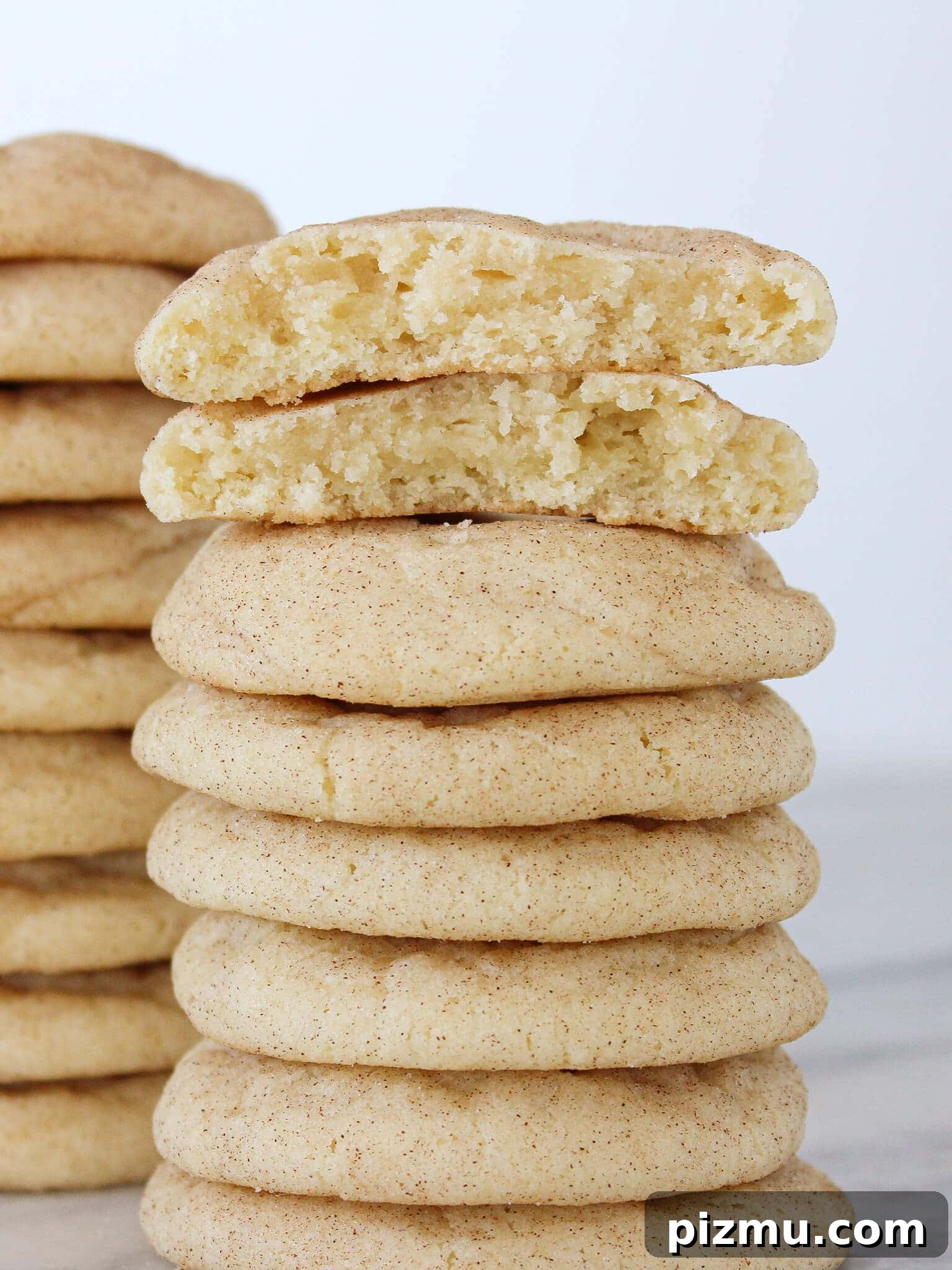 20 Classic Christmas Cookie Recipes to Bake This Season 7 The best Snickerdoodle Cookie tall stack.