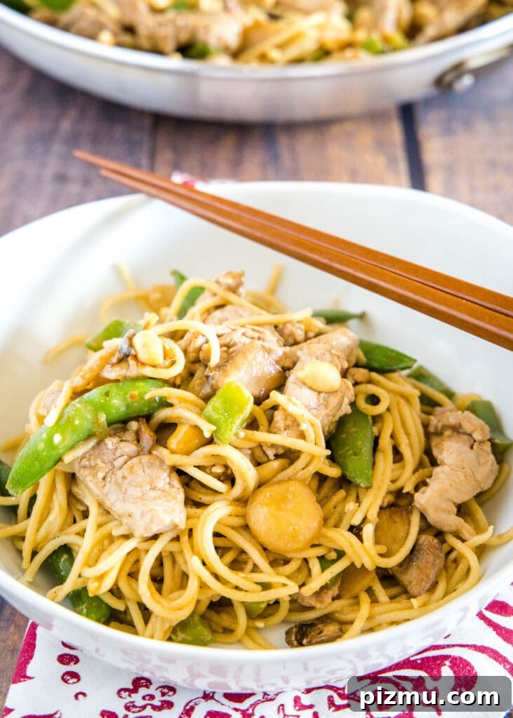 Garlic Sesame Stir-Fry Noodles with Veggies 2 stir fry noodles in a bowl with chopsticks