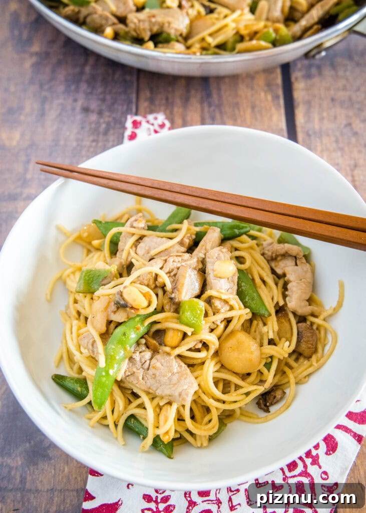 Garlic Sesame Stir-Fry Noodles with Veggies 6 looking down on a bowl of asian noodles