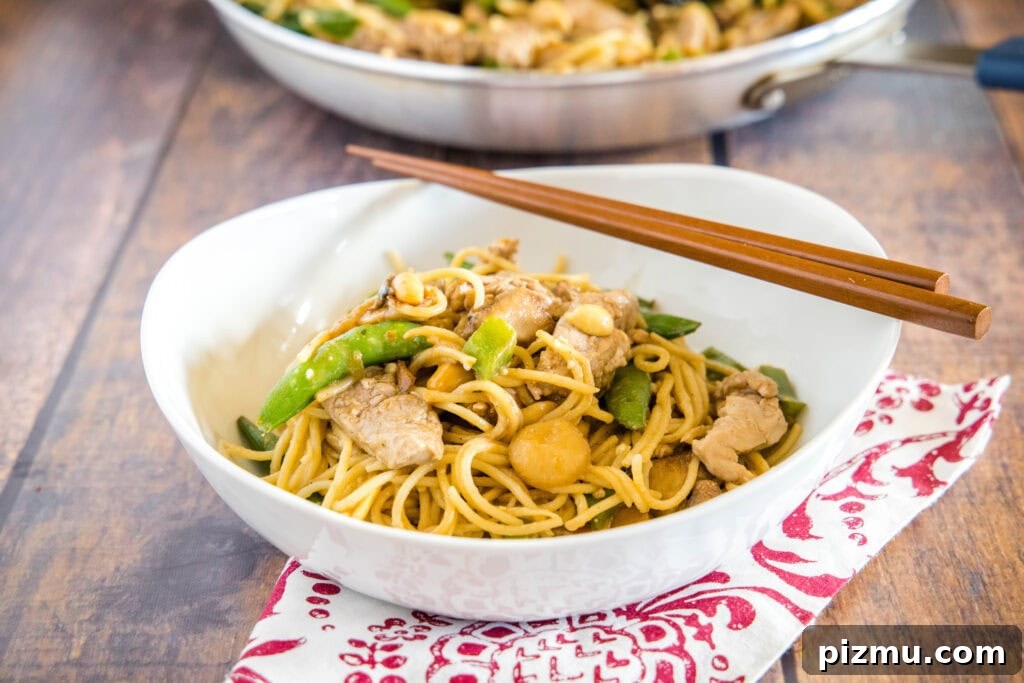Garlic Sesame Stir-Fry Noodles with Veggies 8 Stir Fry Noodles - Quick and easy Asian Noodles tossed with veggies, your favorite protein (I used pork) and a delicious peanut sauce that has just a little kick.