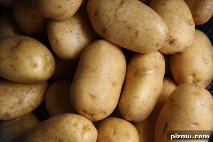 Can You Wash Potatoes in the Dishwasher? 2 img 179388 1