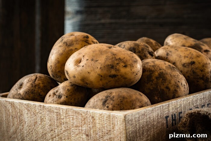Can You Wash Potatoes in the Dishwasher? 4 img 179388 3