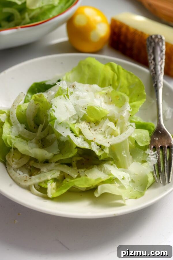 Green fresh butter lettuce with fennel and parm shavings
