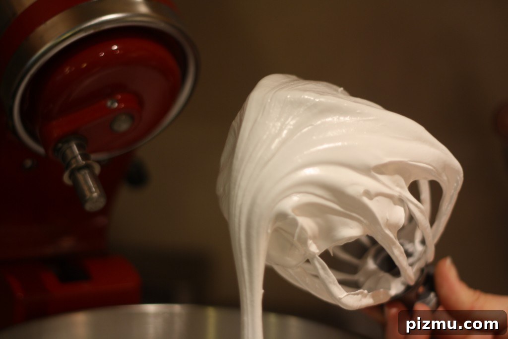 marshmallow fluff img 2138 5