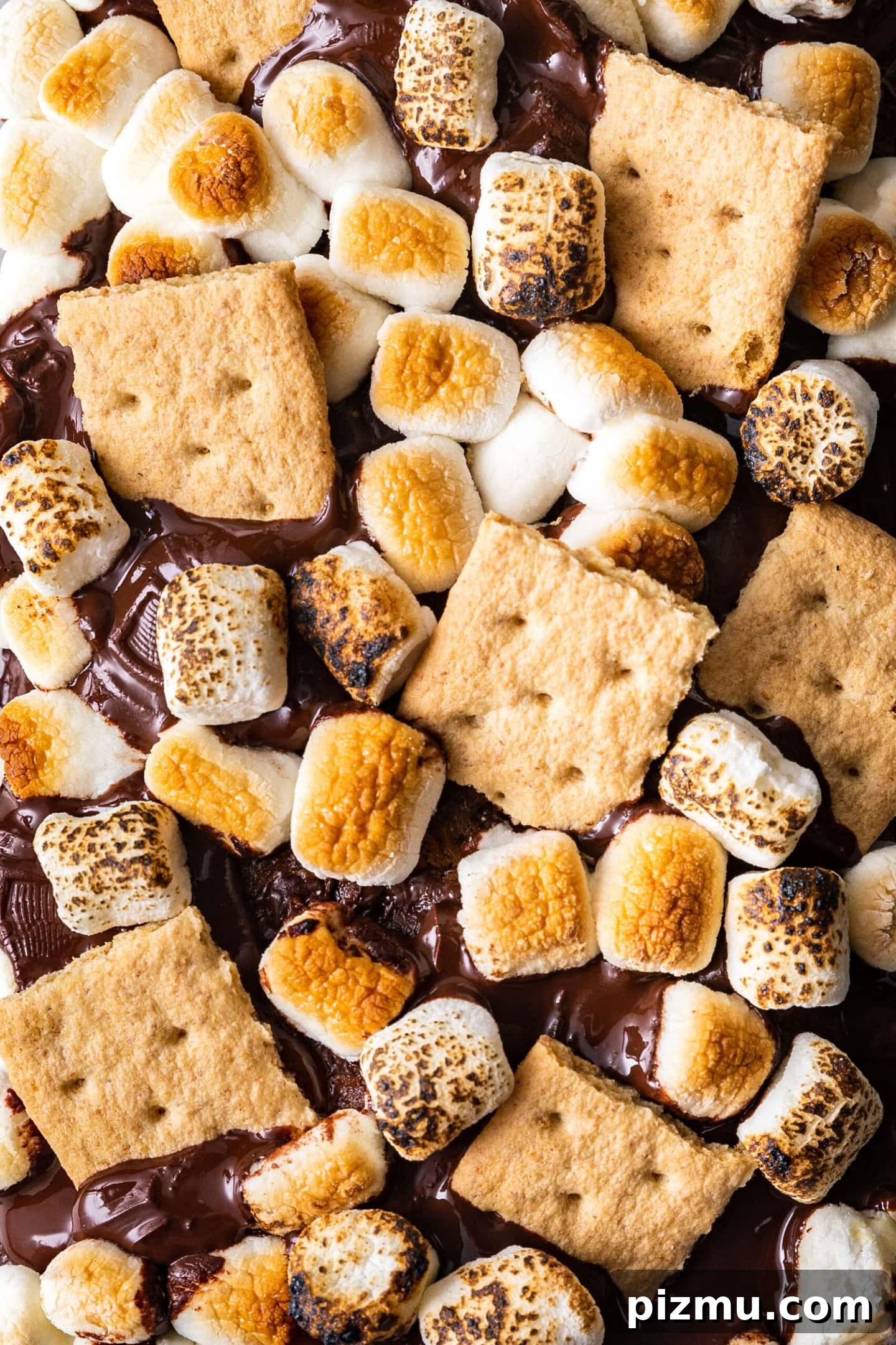 A close up of the top of the S'mores Banana Bread showing toasted marshmallows, melted chocolate bars, and graham cracker pieces