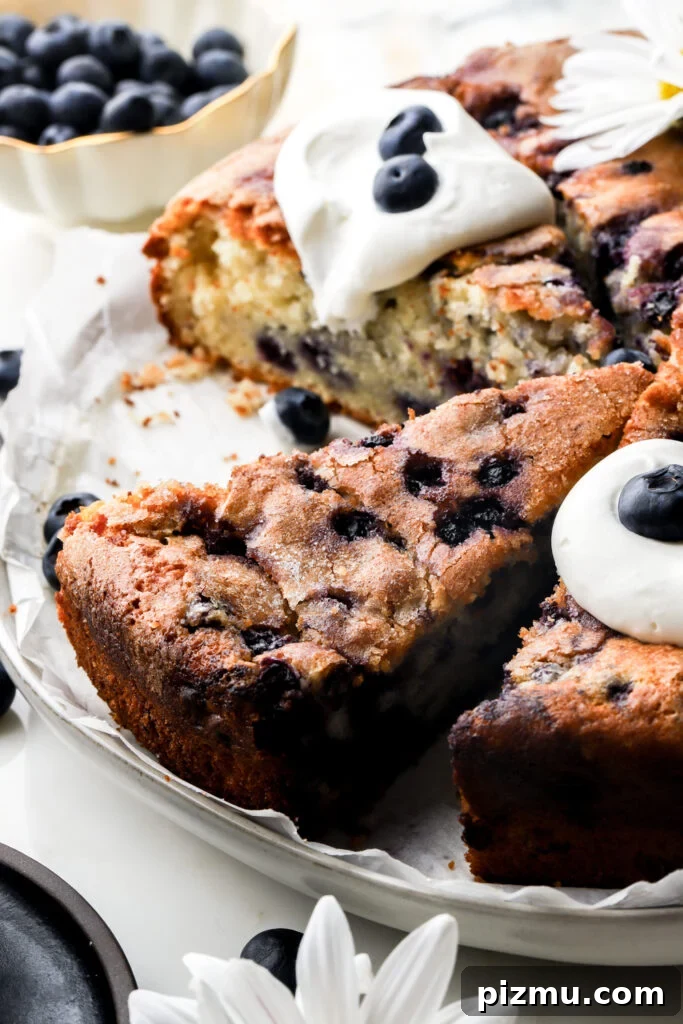 blueberry muffin cake sliced
