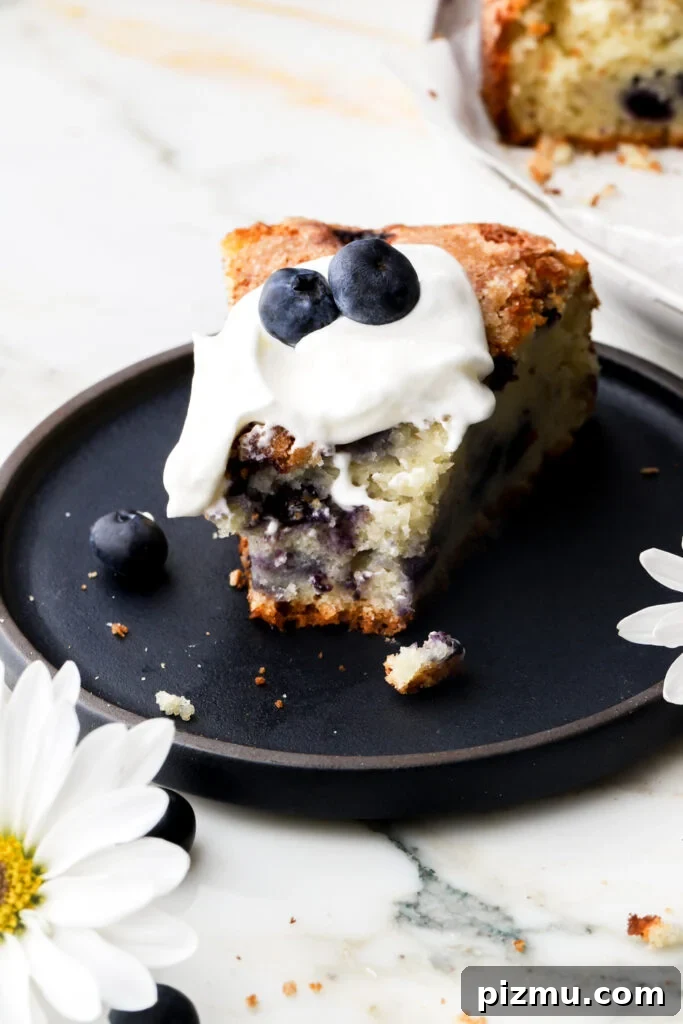 slice of blueberry cake on a plate with whipped cream