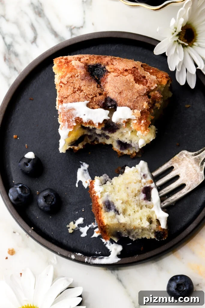 blueberry muffin cake on a plate with a bite on a fork