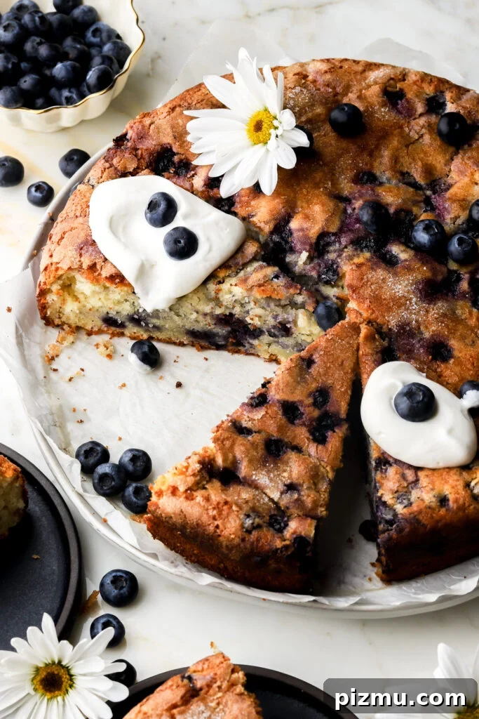 blueberry muffin cake with whipped cream and fresh flowers