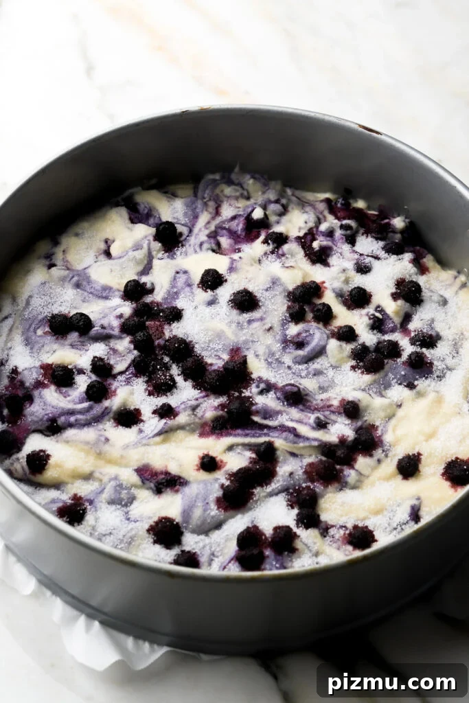 batter spread into cake pan and topped with blueberries and sugar