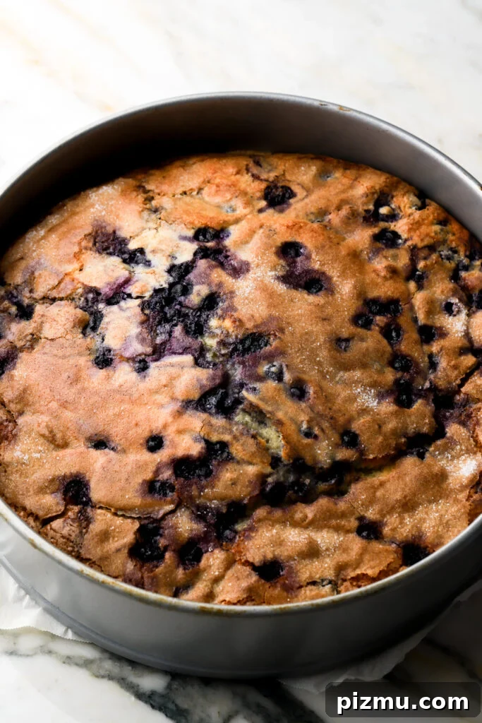 baked blueberry muffin cake