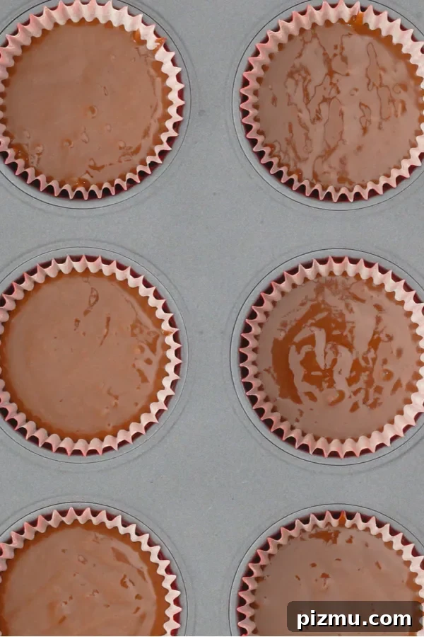 Guinness and Baileys Irish Cream Cupcakes Recipe 4 chocolate cupcakes