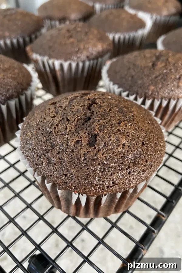 Guinness and Baileys Irish Cream Cupcakes Recipe 5 guinness cupcakes cooked