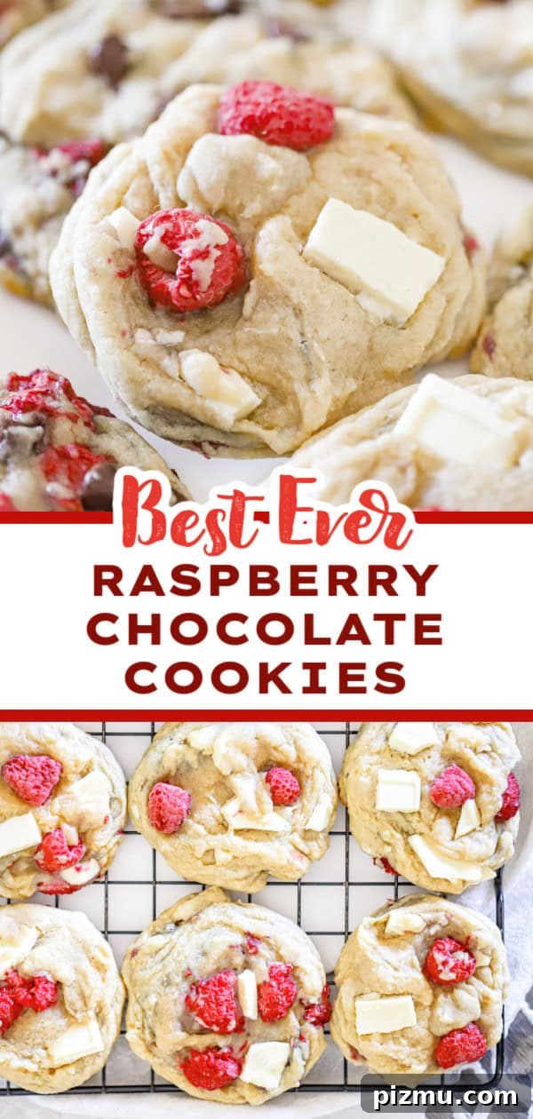 Irresistible Raspberry White Chocolate Cookies 6 fruit dessert