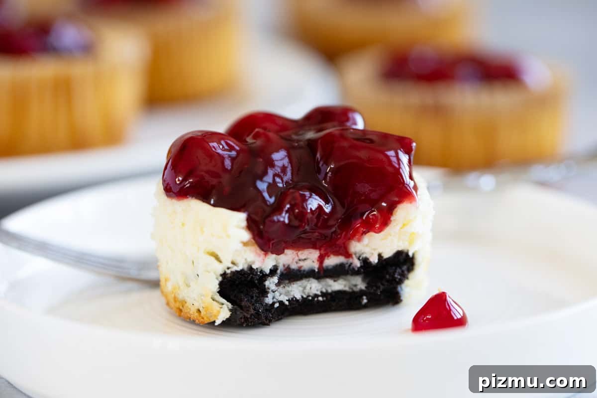 Creamy Mini Cheesecakes with Graham Cracker Crust 2 Mini cheesecakes with a cookie crust and topped with cherry pie filling.