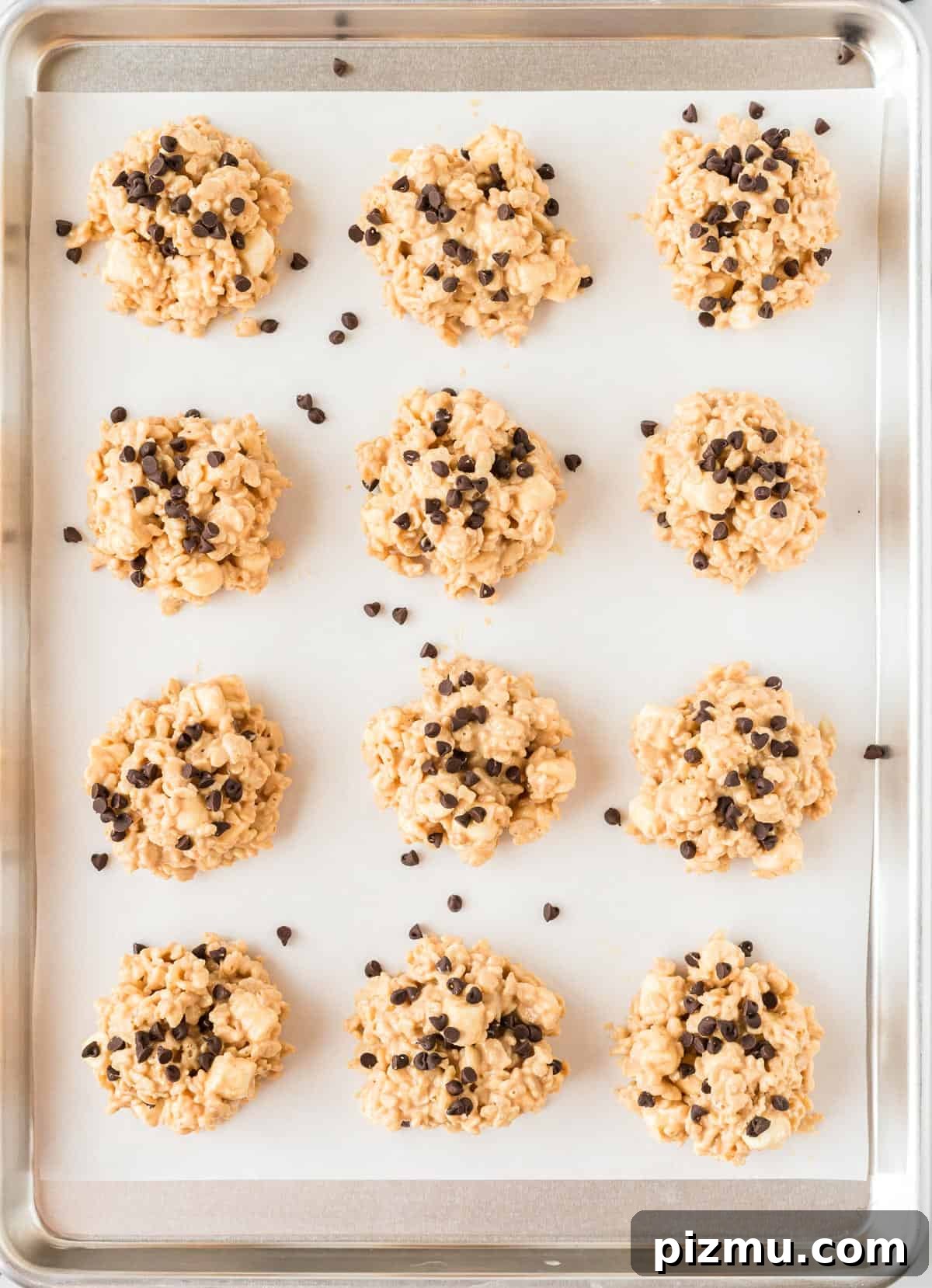 avalanche cookies topped with mini chocolate chips