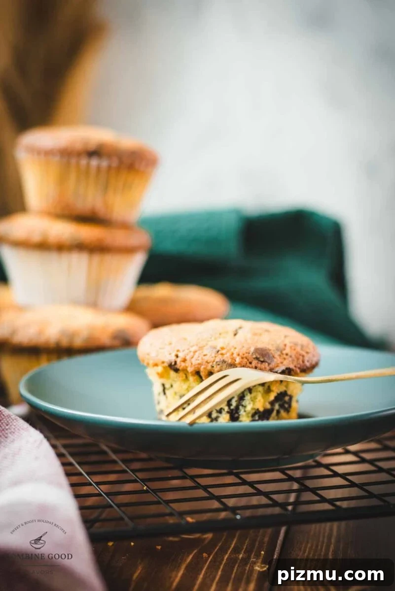 Rich Chocolate Chip Muffins Made with Egg Yolks 3 Delicious 4 egg yolk chocolate chip muffin placed on teal colored plate.