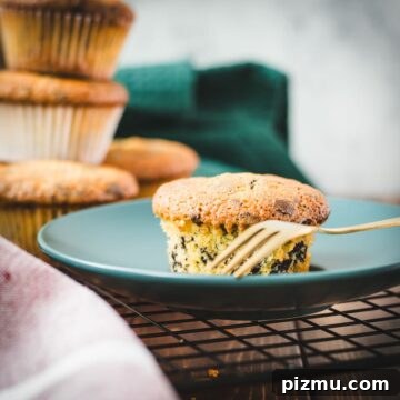 Rich Chocolate Chip Muffins Made with Egg Yolks 5 Delicious 4 egg yolk chocolate chip muffin placed on teal colored plate.