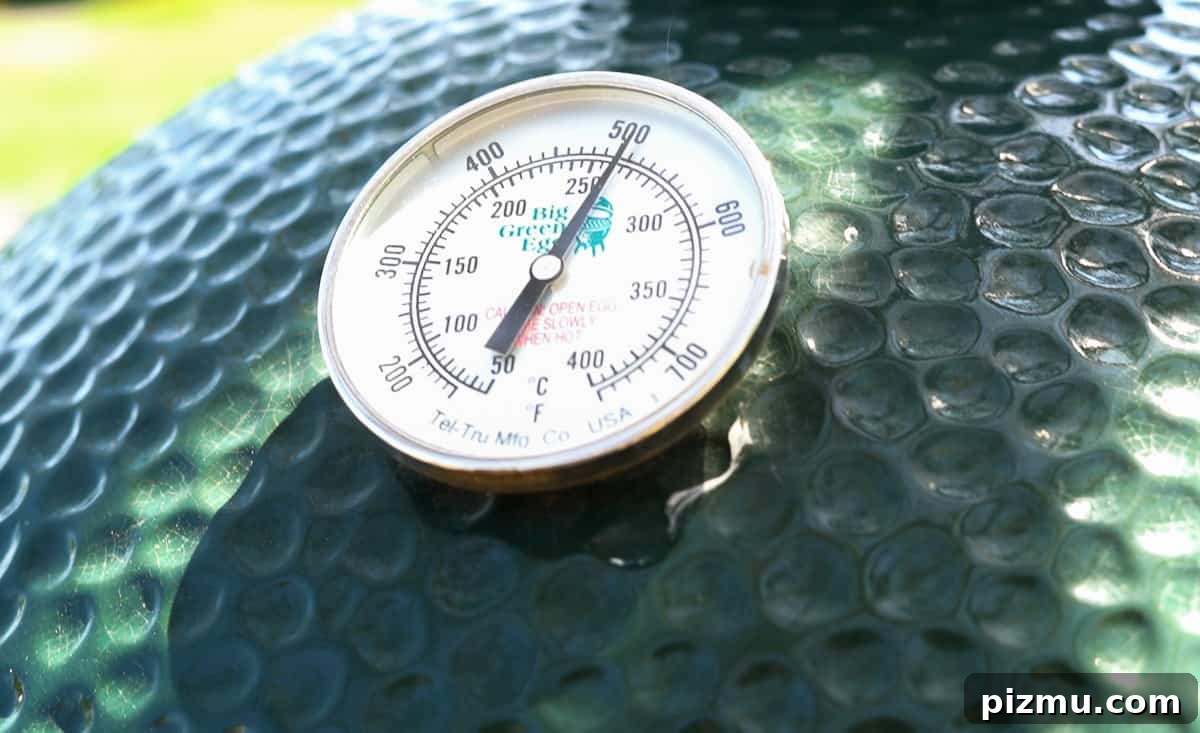 A dial thermometer on a Big Green Egg.