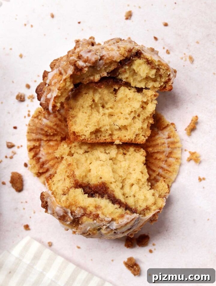 Sour Cream Coffee Cake Muffins Recipe with Cinnamon Streusel 2 top view of sour cream coffee cake muffin broken in half showing cinnamon filling through the middle