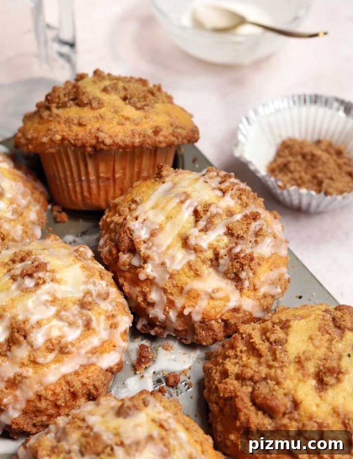 Sour Cream Coffee Cake Muffins Recipe with Cinnamon Streusel 4 sour cream coffee cake muffins in muffin pan
