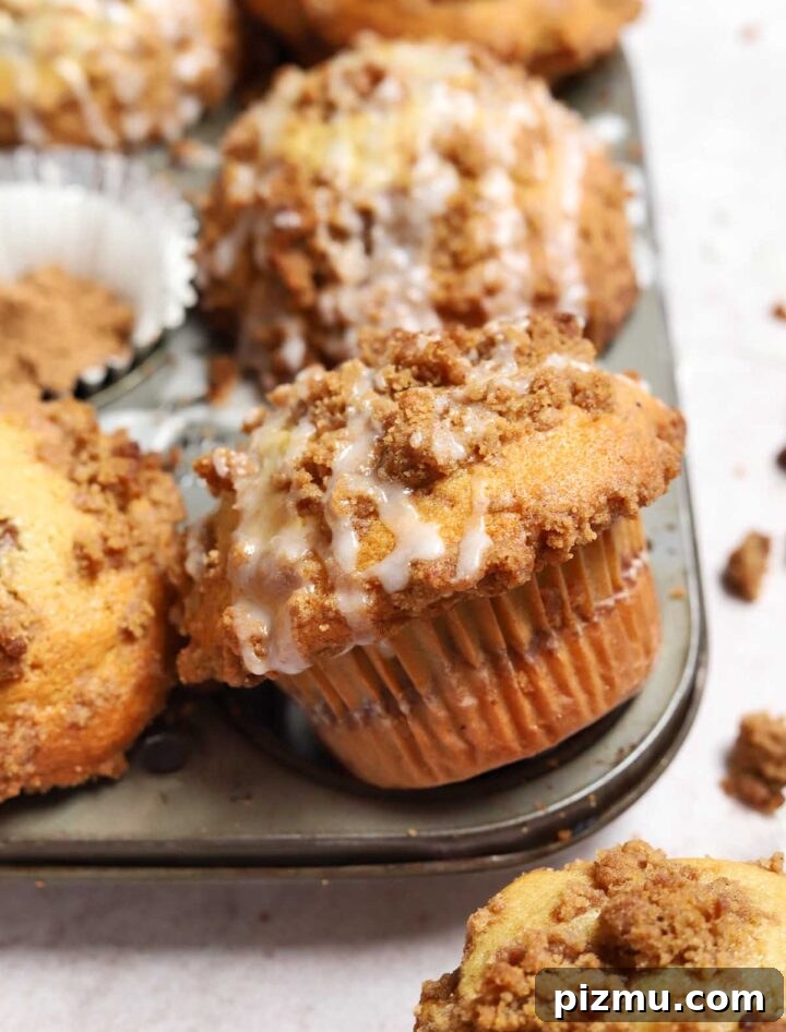 Sour Cream Coffee Cake Muffins Recipe with Cinnamon Streusel 9 close up on sour cream coffee cake muffins in muffin pan