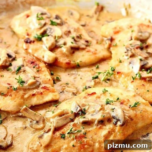 Chicken in mushroom garlic sauce in pan.