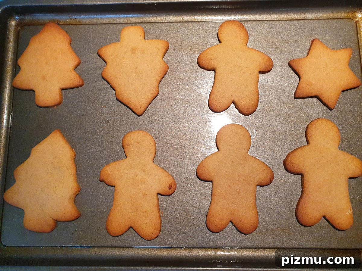 Baked cookies on a tray showing lightly golden edges