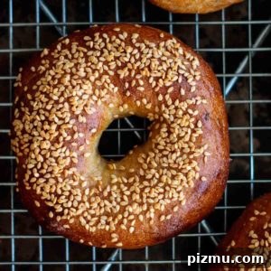 How to Make Sourdough Bagels at Home 10 golden brown sourdough bagel with sesame seeds