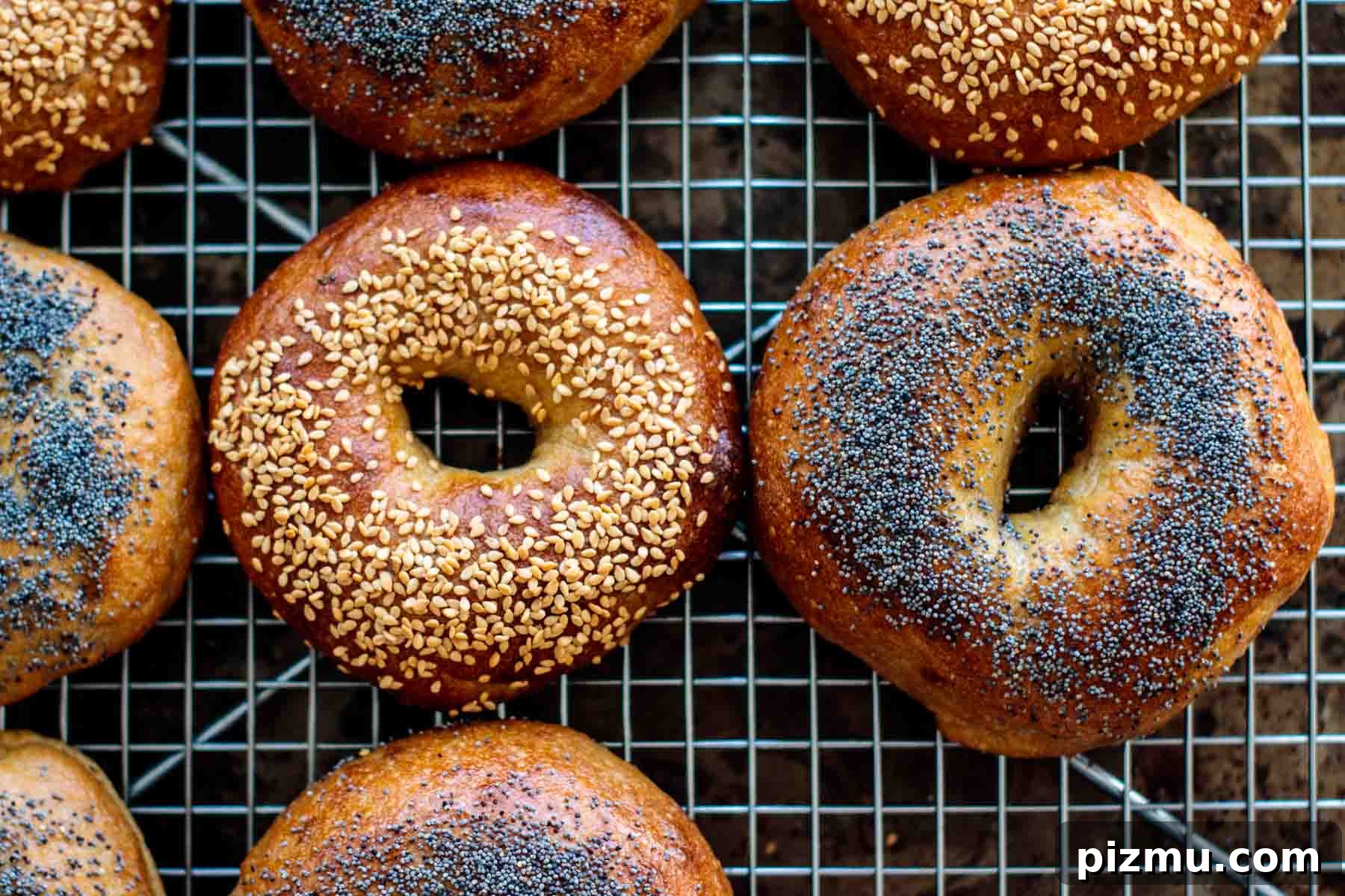 How to Make Sourdough Bagels at Home 4 baked sourdough bagels cooling on a cooling rack